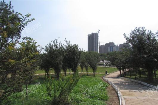 锋泰·尚城国际C区留仙湖公园