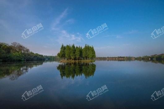 香格里拉别墅蓝月半岛实景图