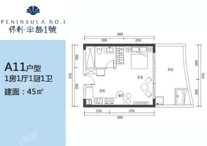 A11户型 1房1厅1卫 45㎡.jpg