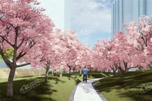 东辉·理想城樱花步道