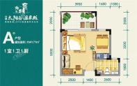 金手指太阳谷温泉城A户型 1室1卫1厨  建筑面积41.71㎡.jpg