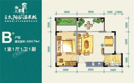 金手指太阳谷温泉城B户型 1室1厅1卫1厨  建筑面积64.74㎡.jpg