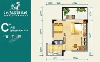 金手指太阳谷温泉城C户型 1室1卫1厨  建筑面积44.27㎡.jpg