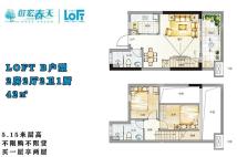 LOFT B户型 2房2厅2卫1厨 42㎡