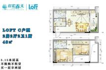 LOFT C户型 2房2厅2卫1厨 48㎡