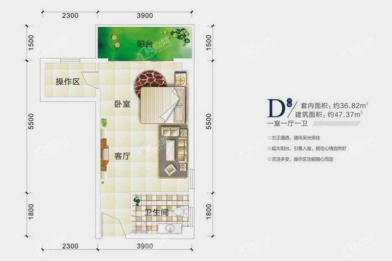 D户型1室1厅1厨1卫1阳台47.37㎡