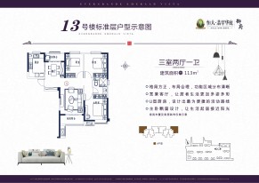 13号楼标准层C户型图