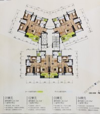 23栋楼层平面图