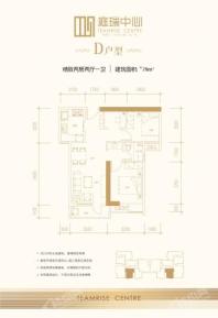 庭瑞中心D户型79㎡ 2室2厅1卫1厨