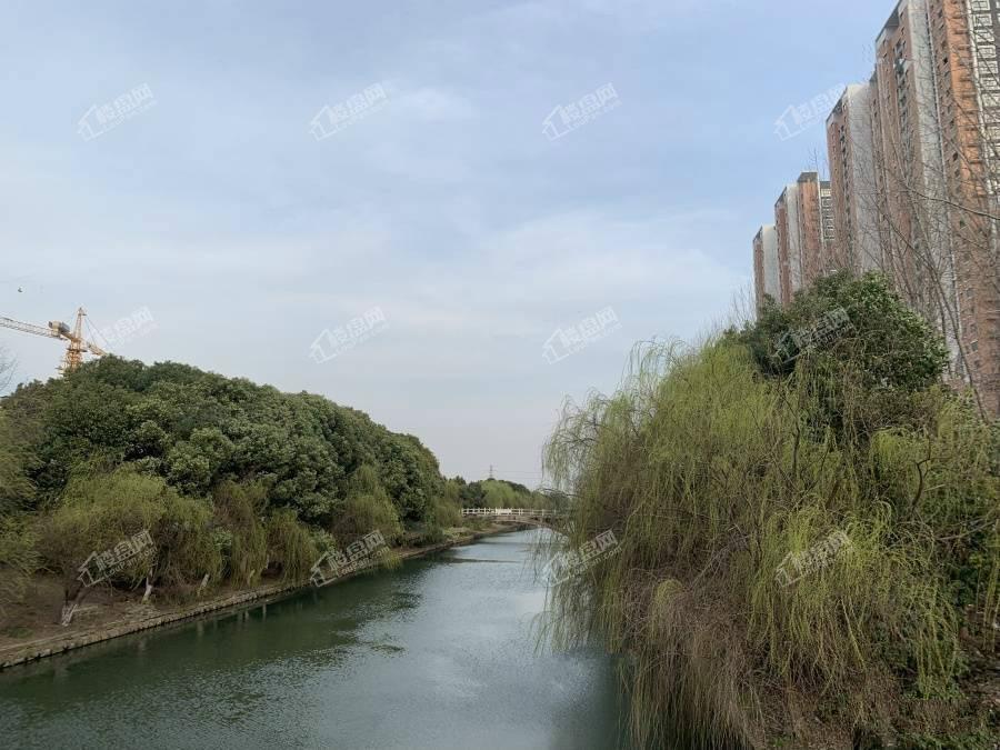 星湖广场河流风景图