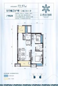 8/9栋D户型2房2厅1卫72.57㎡