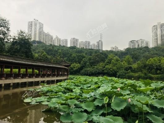 中海天钻周边龙头寺公园