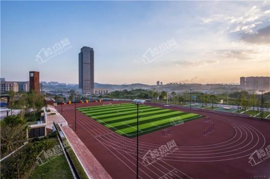 龙湖天际周边渝北区巴蜀小学