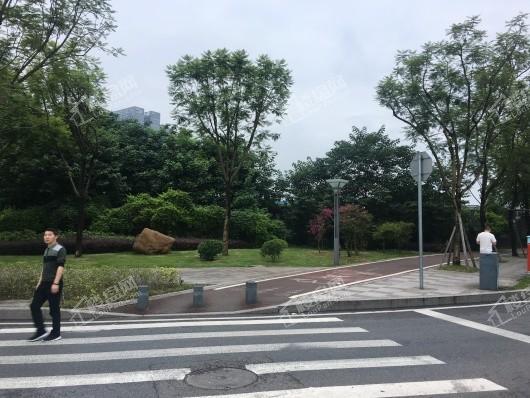 金隅·新都会项目绿化实景