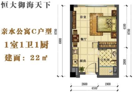 亲水公寓C户型 建面22㎡ 1室1卫1厨