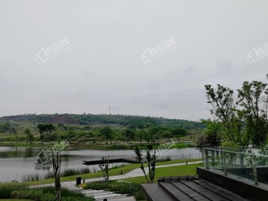 格力两江总部公园小区环境图