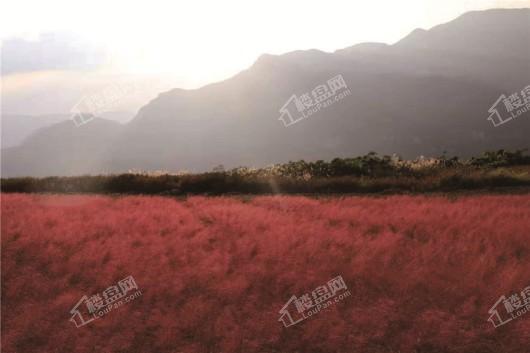 仙女山懒坝禅境艺术小镇周边环境