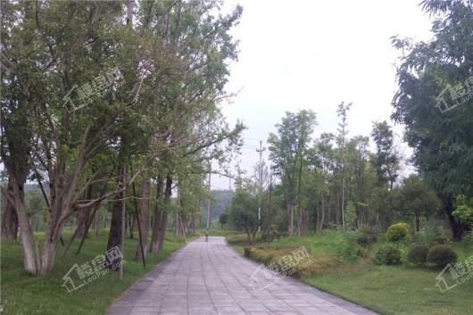 博翠藏山项目周边公园