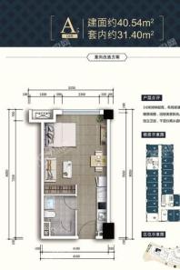 恒大城市之光A户型 1室1厅1卫1厨