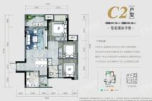 保亿御景玖园高层C2户型 3室2厅1卫1厨