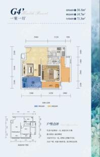 中盛·娄山栖谷G4'户型56.8㎡户型 1室1厅1卫1厨