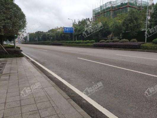 新天泽樾麓台项目周边道路