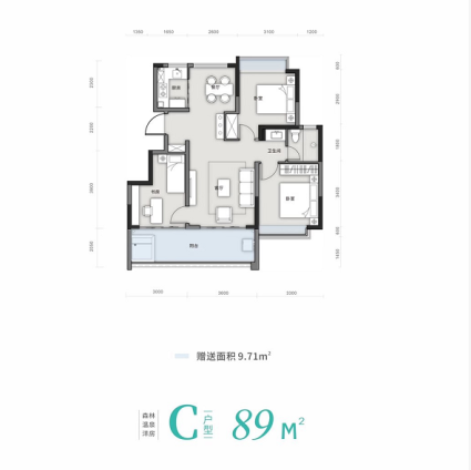 森林温泉洋房89㎡户型图（二期）