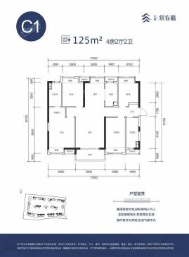 C1户型