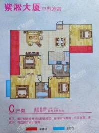 紫淞大厦C户型 4室2厅2卫1厨