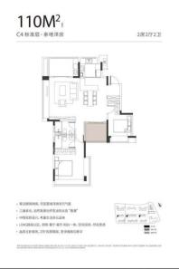 越秀·和樾府110平C4标准层 2室2厅2卫1厨