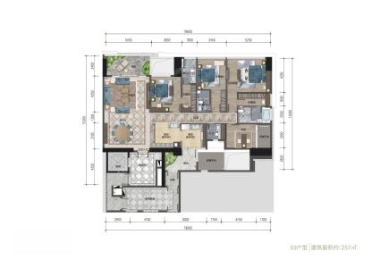 展盈天钻03户型3房2厅4卫257㎡