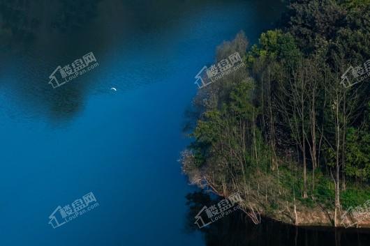 中国铁建南国天骄周边湖泊实景图