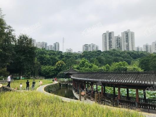 中海天钻周边龙头寺公园