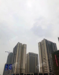 美的金科郡实景图