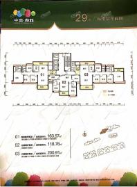 中澳春城29栋楼层平面图