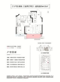 亳州金科府C1户型图