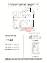 亳州金科府C2户型图