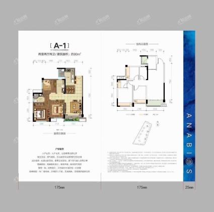 A-1户型