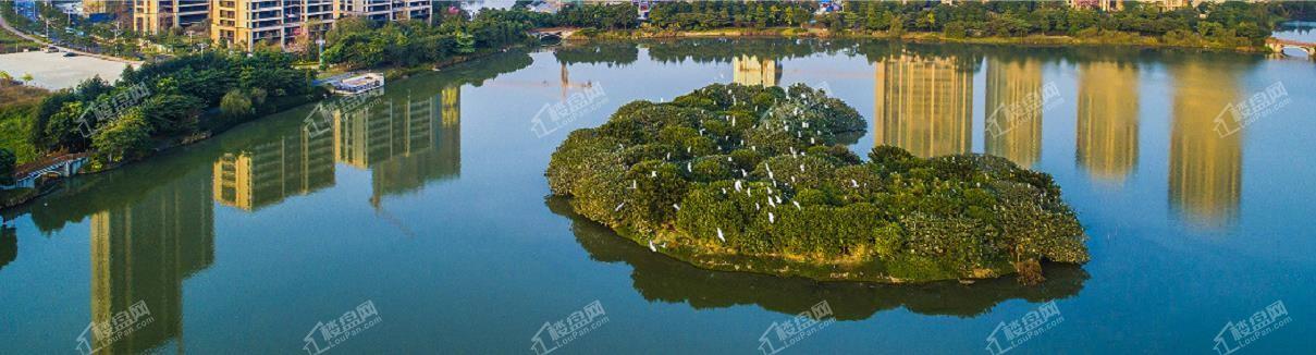 绿岛湖湖心实实景图