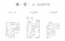 天健·山棠春晓 A户型 雍·棠，建筑面积约527平米