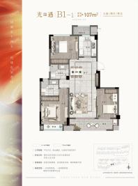 B1-1户型 光遇 建筑面积约107㎡ 三房两厅两卫
