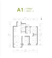 A1户型3室2厅2卫110平米