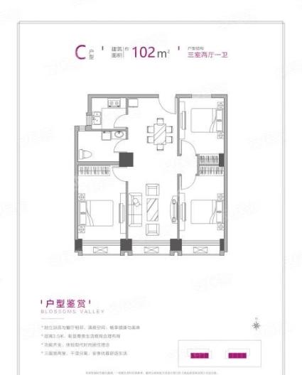 C户型102㎡