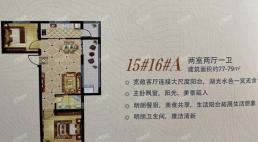 翡翠世纪城15#16#A户型