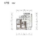 C户型2+1房2房2厅103㎡