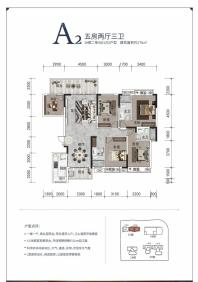 意洲嘉园盛景户型图A2户型176㎡