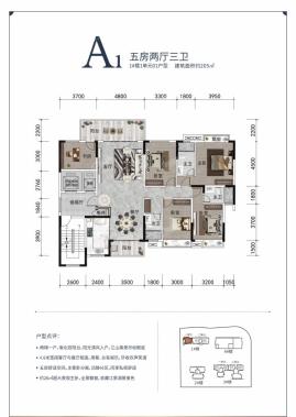 意洲嘉园盛景户型图A1户型205㎡