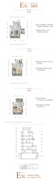 中南十洲层院户型图—E5户型160㎡