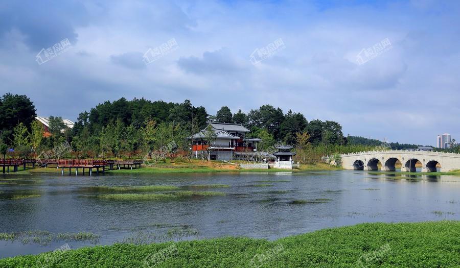 遵义市新蒲湿地公园