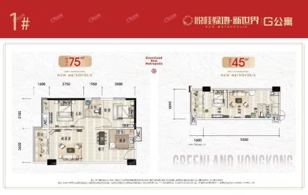 悦桂绿地新世界1#楼G公寓45㎡/75㎡户型图